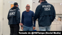 El departamento de Investigaciones de Seguridad Nacional (HSI) de Tampa, en Florida, divulgó la imagen de Veguita encadenado y custodiado por agentes.